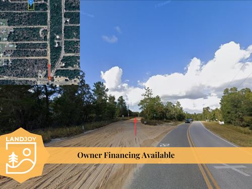 Homestead in Hawthorne, FL AG Zone : Hawthorne : Putnam County : Florida