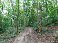 Own Land for $499 Down : Pueblo : Wayne County : Kentucky