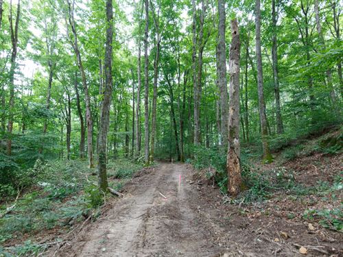 Own Land for $499 Down : Pueblo : Wayne County : Kentucky