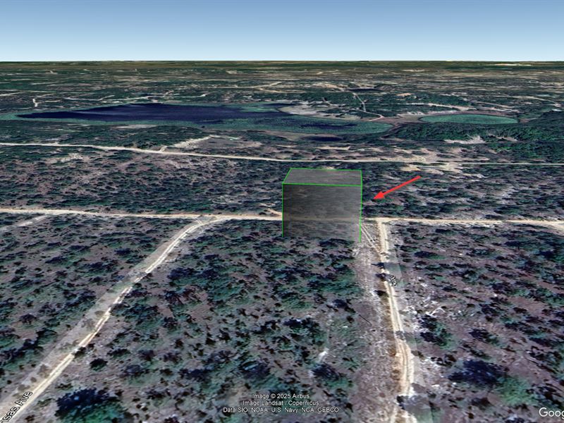 Lot in Hawthorne, Fl, $193/Mo : Hawthorne : Putnam County : Florida