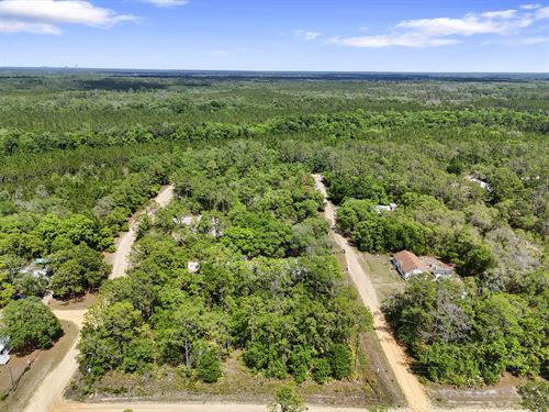 Your Dream Lot Awaits, $233/Mo : Interlachen : Putnam County : Florida