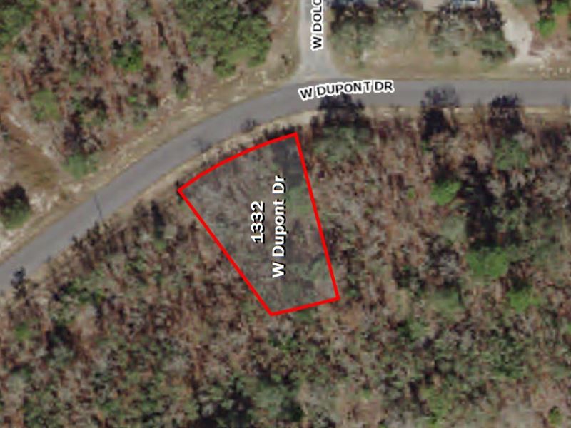 Lovely Florida Lot in Citrus Spring : Citrus Springs : Citrus County : Florida