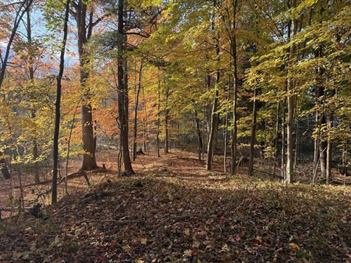 Brooks Lake Sanctuary : Dryden : Lapeer County : Michigan