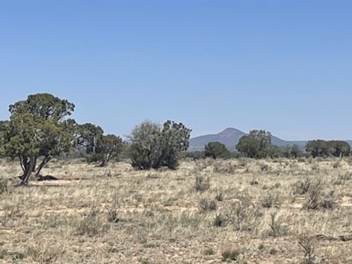 Lucious Land in Arizona : Williams : Coconino County : Arizona
