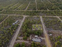 Affordable FL Lot Only $233/Mo : Interlachen : Putnam County : Florida