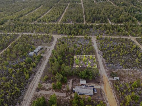 Affordable FL Lot Only $233/Mo : Interlachen : Putnam County : Florida