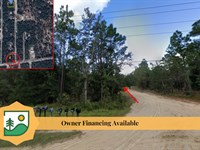Have Chickens/Garden Near Lake : Florahome : Clay County : Florida