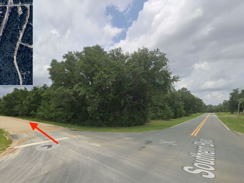 Sunshine State Panhandle, $400/Mo : Alford : Jackson County : Florida