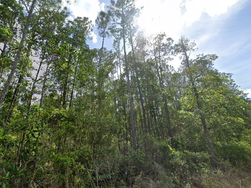 Palatka Escape Just $340/Mo : Palatka : Putnam County : Florida
