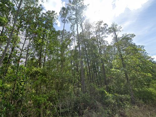 Palatka Escape Just $340/Mo : Palatka : Putnam County : Florida