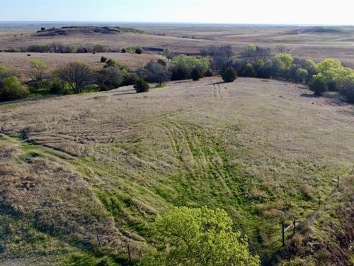 Philips County Whitetail : Glade : Phillips County : Kansas