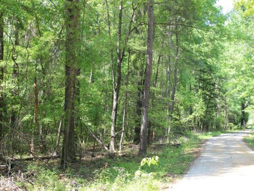 Estate Homesite Near Mont./Pike Rd : Pike Road : Montgomery County : Alabama