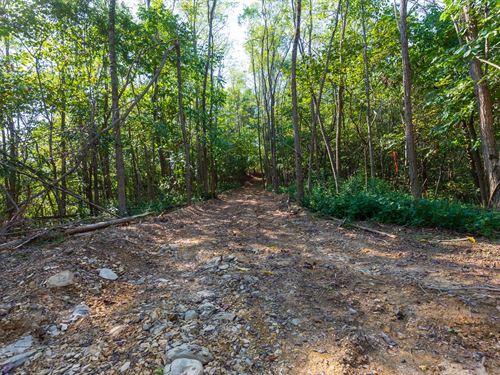 No Credit Check/$999 Down : Clifton : Wayne County : Tennessee