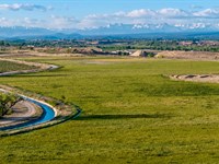 Montrose CO Cattle Ranch, Irrigated : Montrose : Colorado