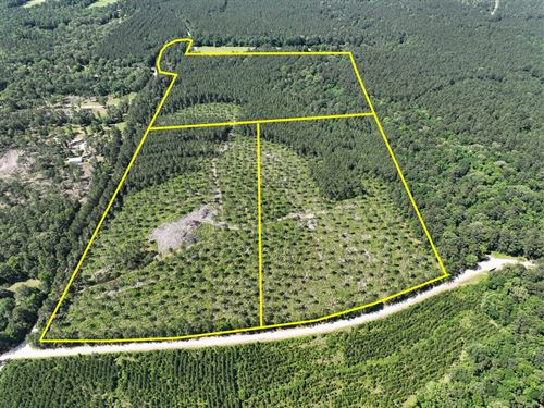 16 Acres, T-38, Groveton Flat Pra : Groveton : Trinity County : Texas