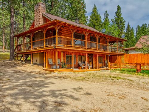 Coolrainey Pines Gateway to : Hamilton : Ravalli County : Montana