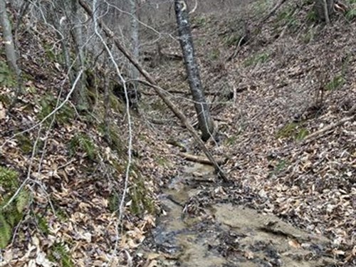 Ashe Co NC + Power, $587.65/Mo : Grassy Creek : Ashe County : North Carolina