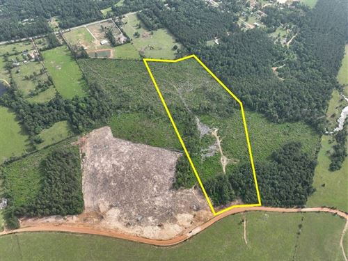 26 Acres, T-3, Old Salem Church : Willis : San Jacinto County : Texas