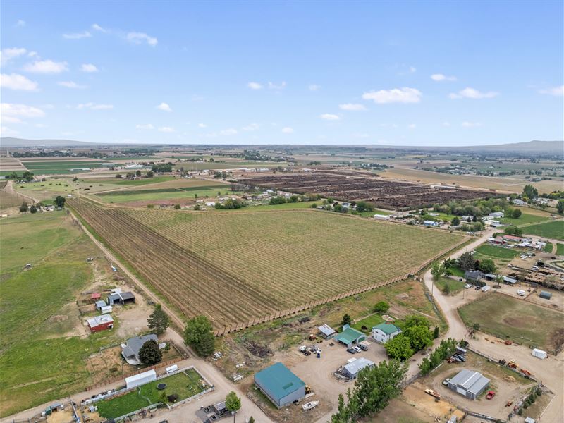 Peckham Road Agriculture Land : Wilder : Canyon County : Idaho