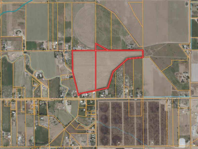 Peckham Road Agriculture Land : Wilder : Canyon County : Idaho