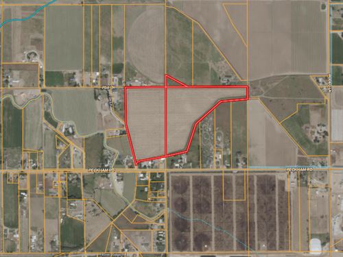 Peckham Road Agriculture Land : Wilder : Canyon County : Idaho