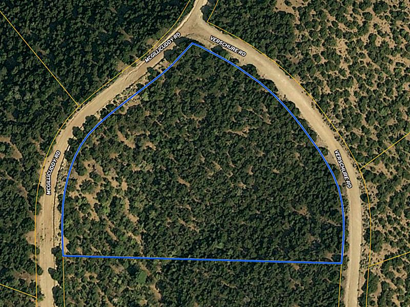 Majestic Timber Heaven, $316/Mo : San Luis : Costilla County : Colorado