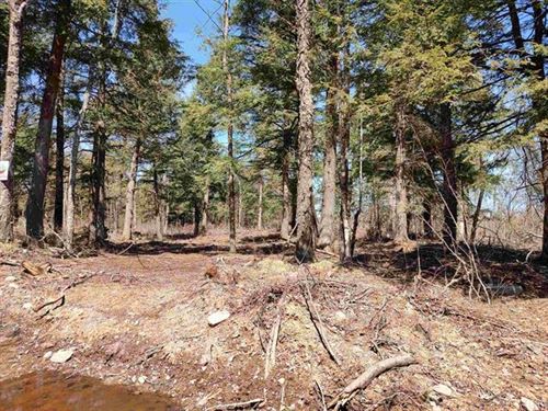 Michigan's Pristine Wilderness : Skanee : Baraga County : Michigan