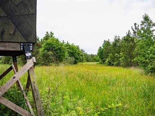 Hunting Land in Morehouse Parish NE : Bastrop : Morehouse Parish : Louisiana