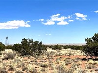Power & Trees $125-$250/Mo : Snowflake : Navajo County : Arizona