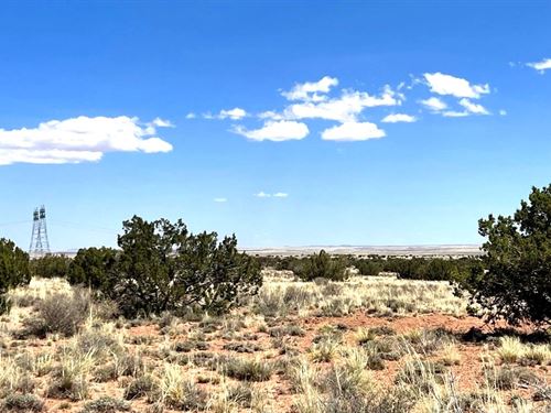 Power & Trees $125-$250/Mo : Snowflake : Navajo County : Arizona