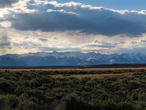 Murphy Ranch On The Michigan River : Walden : Jackson County : Colorado