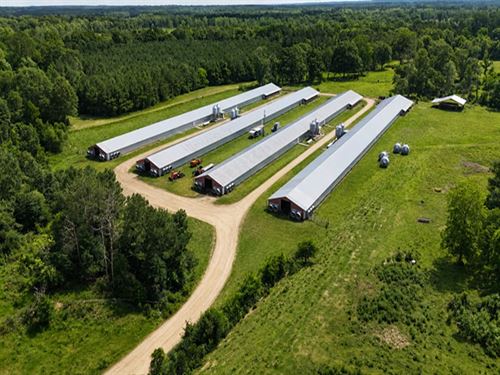 Price Reduced, B4 Broiler Farm : Tylertown : Walthall County : Mississippi