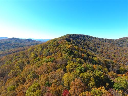 69 Acres, Union County, Georgia : Young Harris : Union County : Georgia