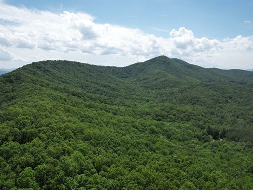 69 Acres, Union County, Georgia : Young Harris : Union County : Georgia