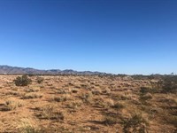Mountain Base, Public Lands $125/Mo : Dolan Springs : Mohave County : Arizona