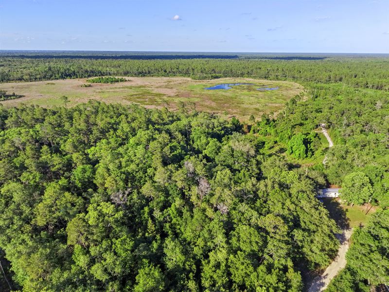 Rural Lot in Satsuma, Fl, $233/Mo : Satsuma : Putnam County : Florida