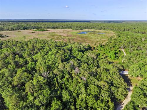 Rural Lot in Satsuma, Fl, $233/Mo : Satsuma : Putnam County : Florida