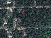 Rural Lot in Satsuma, Fl, $233/Mo : Satsuma : Putnam County : Florida