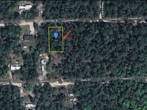 Rural Lot in Satsuma, Fl, $233/Mo : Satsuma : Putnam County : Florida