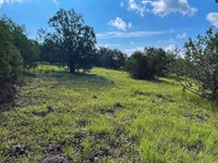 Treed & Elevated Only $275-$450/Mo : Williams : Coconino County : Arizona