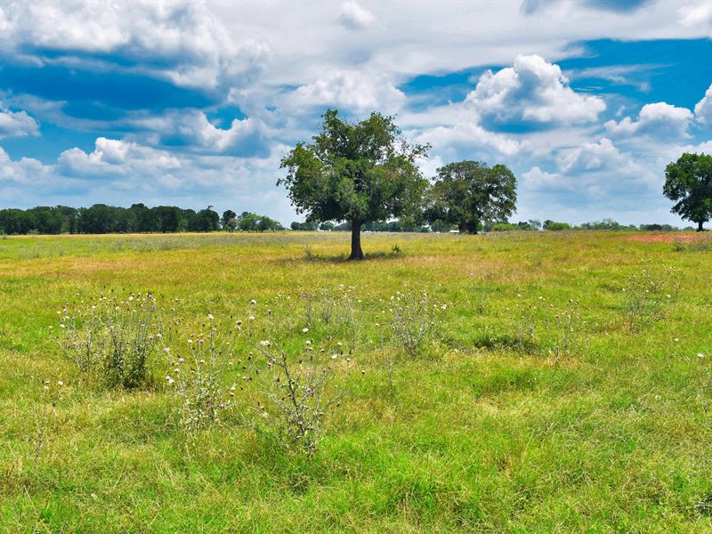 1.1 Acres in Caldwell County, TX : Luling : Caldwell County : Texas