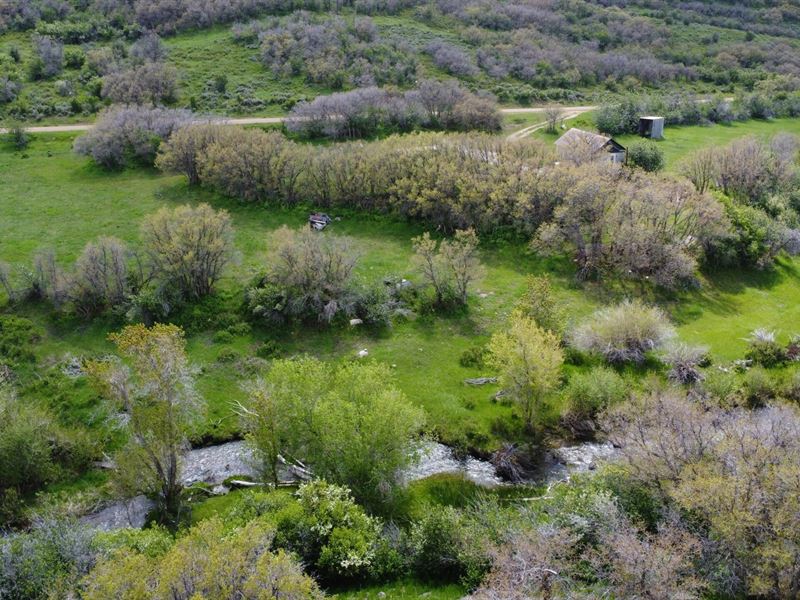 Morapos Creek Land and Cabin : Hamilton : Moffat County : Colorado