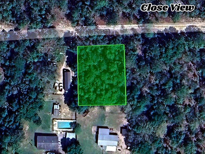 Your Next Big Adventure Starts Here : Interlachen : Putnam County : Florida