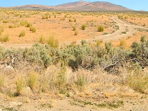 Affordable Corner Lot Near Pond : Elko : Nevada
