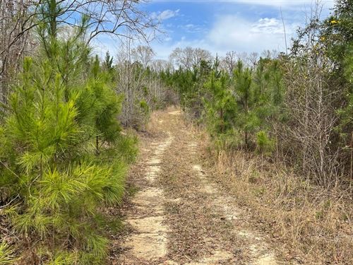 85 Ac Hicks Rd : Rutledge : Crenshaw County : Alabama