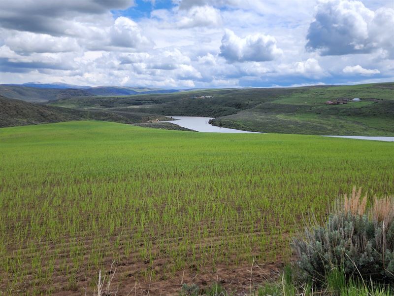 North Elkhead Tract 4 : Craig : Moffat County : Colorado