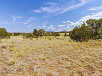 Amazing Views and Privacy $125/Mo : Williams : Coconino County : Arizona
