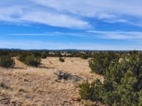 Go Off-Grid in Style $175-$350/Mo : Williams : Coconino County : Arizona