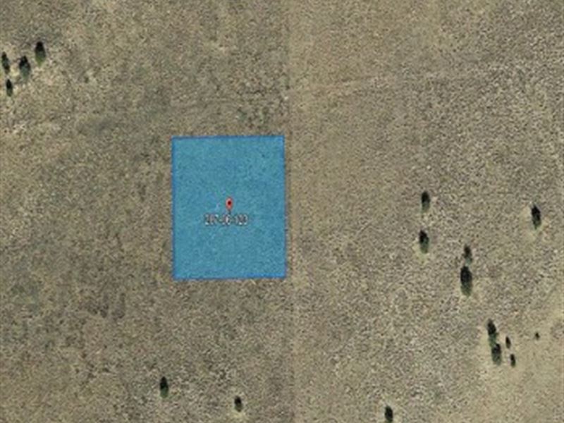 Land of Peace in Sanders, AZ : Sanders : Apache County : Arizona