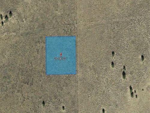 Land of Peace in Sanders, AZ : Sanders : Apache County : Arizona